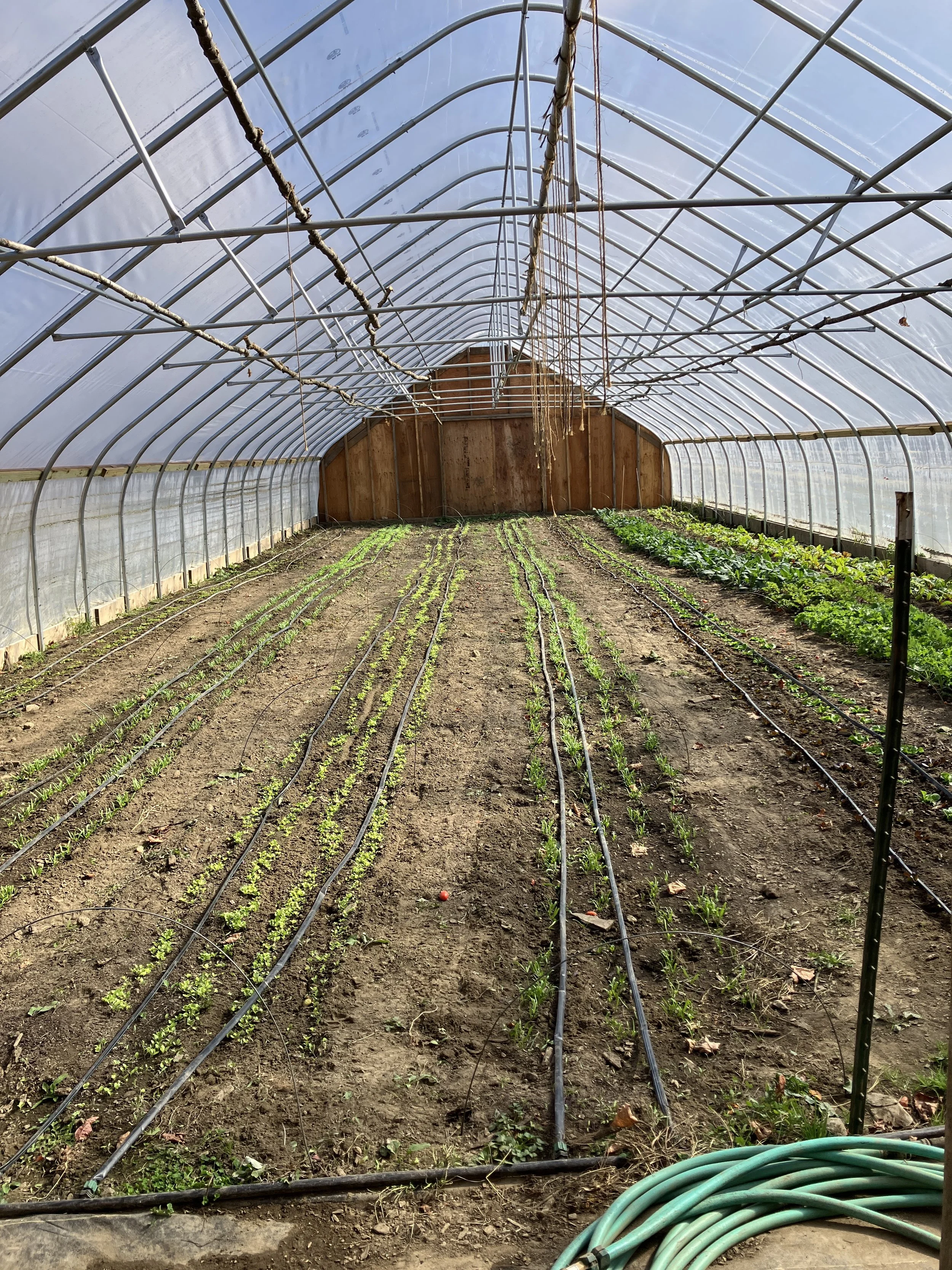 Rolling Up Our Sleeves(and putting on an apron)