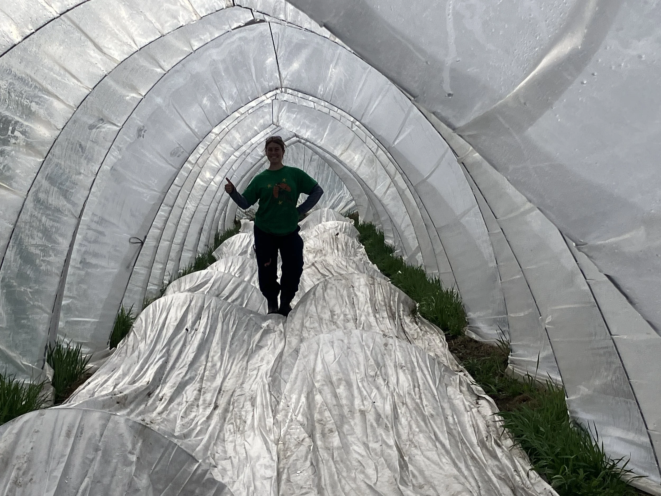 High Tunnel Magic