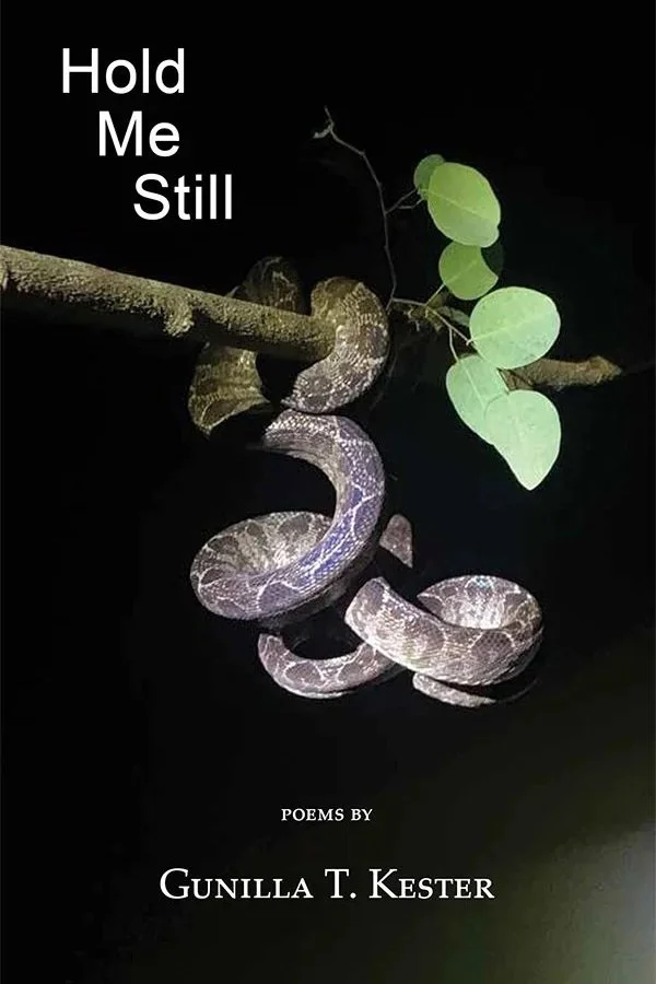 CvrHoldMeStill_Ad.jpg