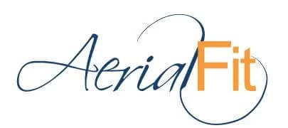 aerialfitlog.jpeg