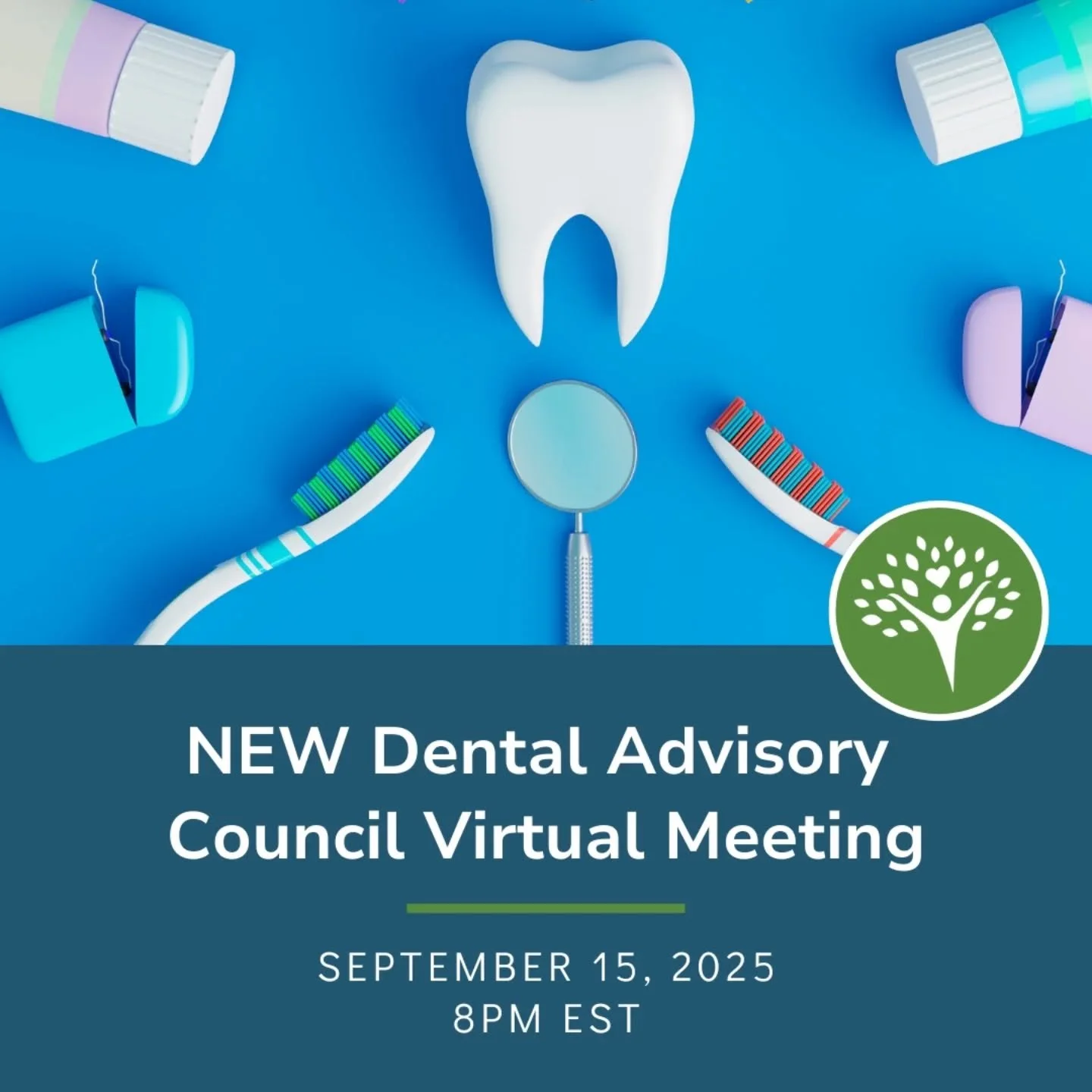 Join Our Planning Committee!&nbsp;

The Palmetto Palace is excited to begin planning the 2nd Annual Free Dental Day (July 2026)! We invite individuals from all backgrounds&mdash;community members, healthcare professionals, and family advocates&mdash;