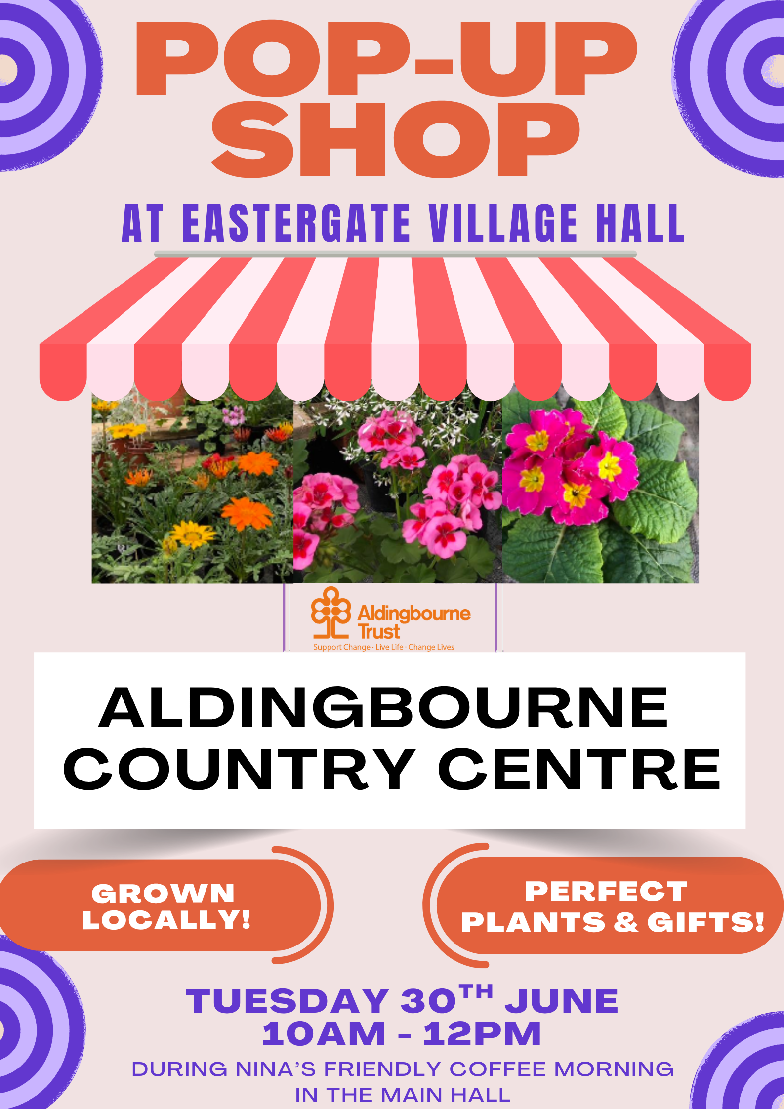 Aldingbourne Trust Pop Up Shop 