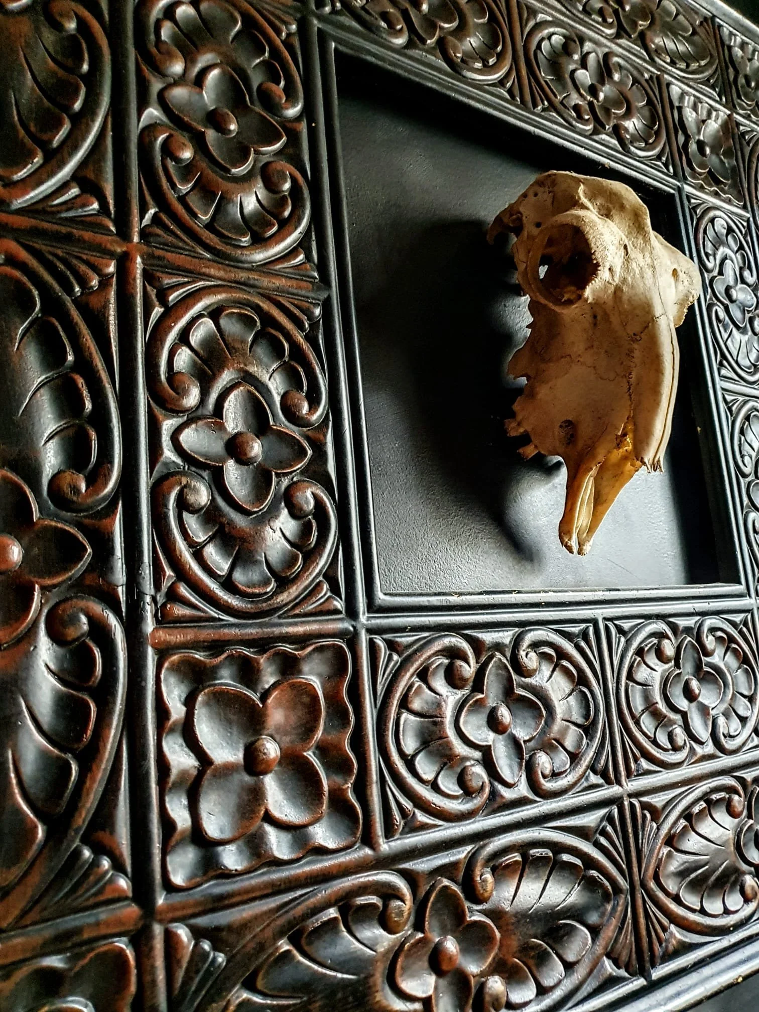 WhatsApp Image 2026-01-12 at 21.48.42.jpeg