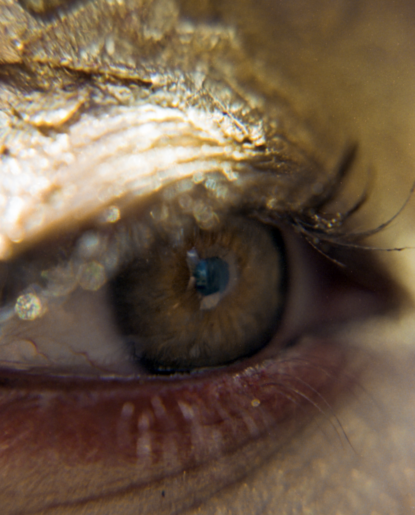 Screenshot 2024-11-09 at 8.16.27 PM.png