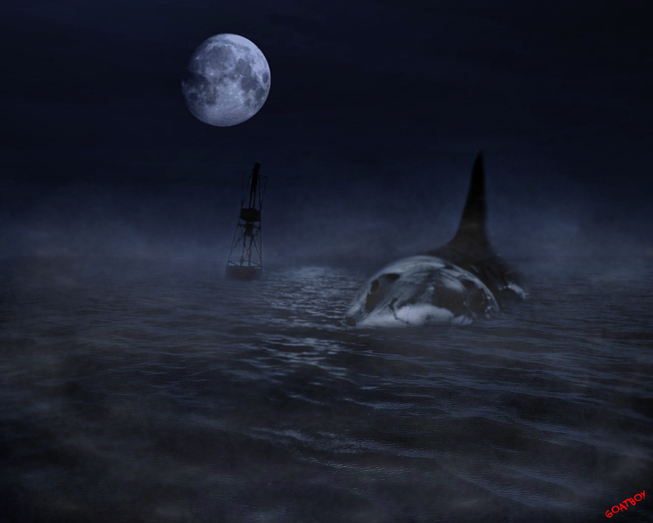 NIGHT FEEDER: SHARK ATTACKS MORE LIKELY WITH FULL MOON