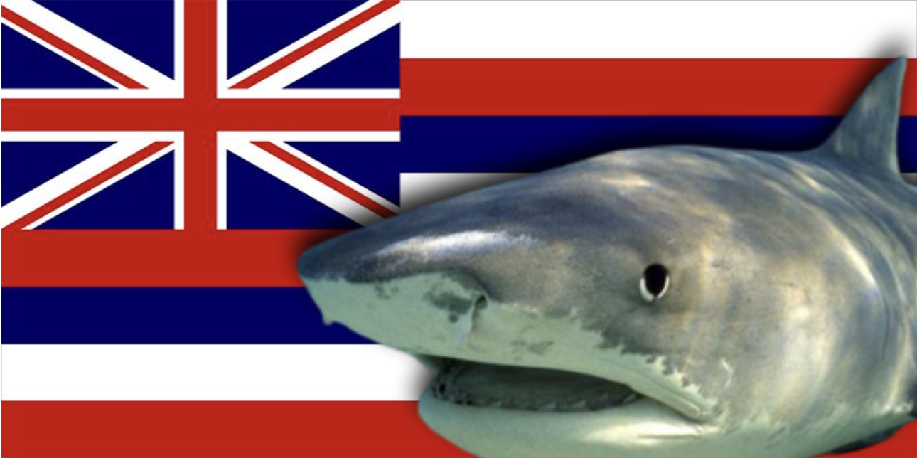 HAWAII BECOMES FIRST US STATE TO BAN SHARK FISHING