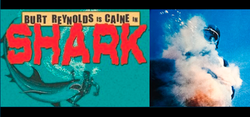 STUNTMAN SHARK DEATH: HORRIFIC TRAGEDY OR SICK MOVIE PUBLICITY STUNT?