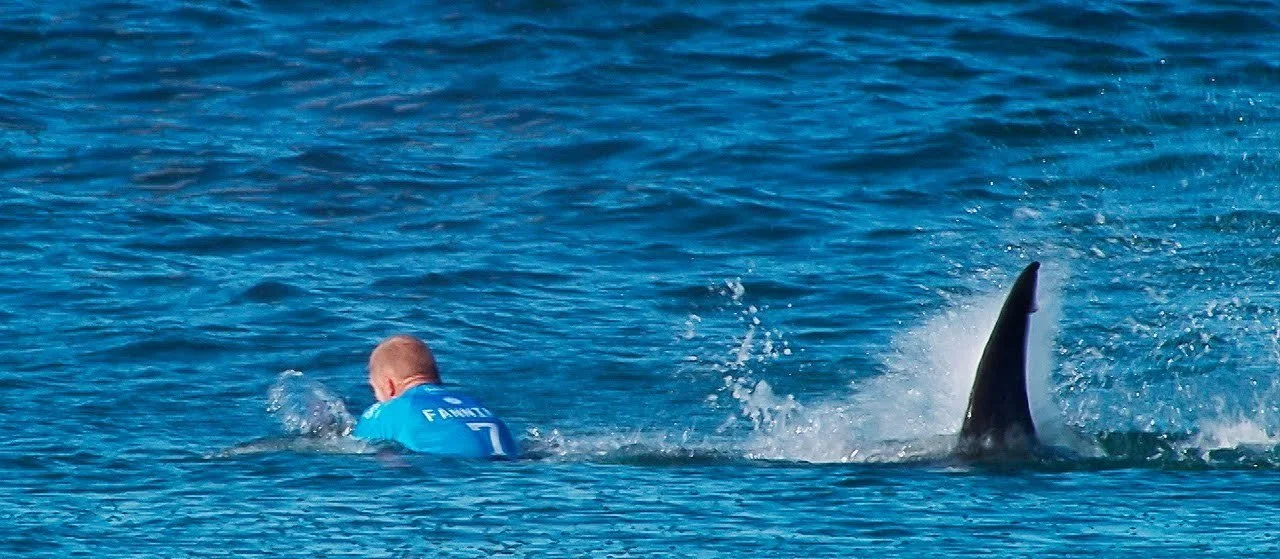 Surfer Mike Fanning describes lucky escape after shark encounter caught on live TV