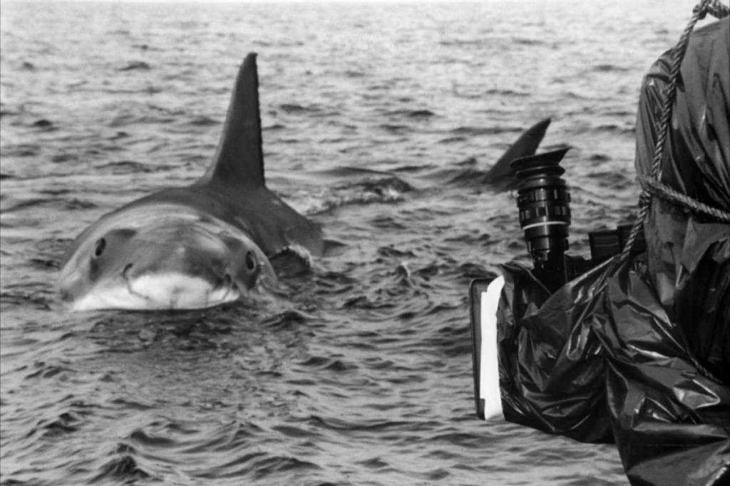 The hidden star voices of the 'Jaws' series