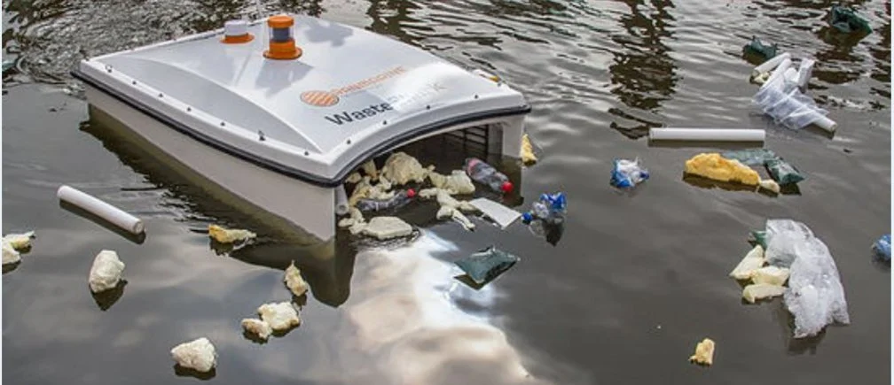 GREAT WASTE SHARKS SURFACE