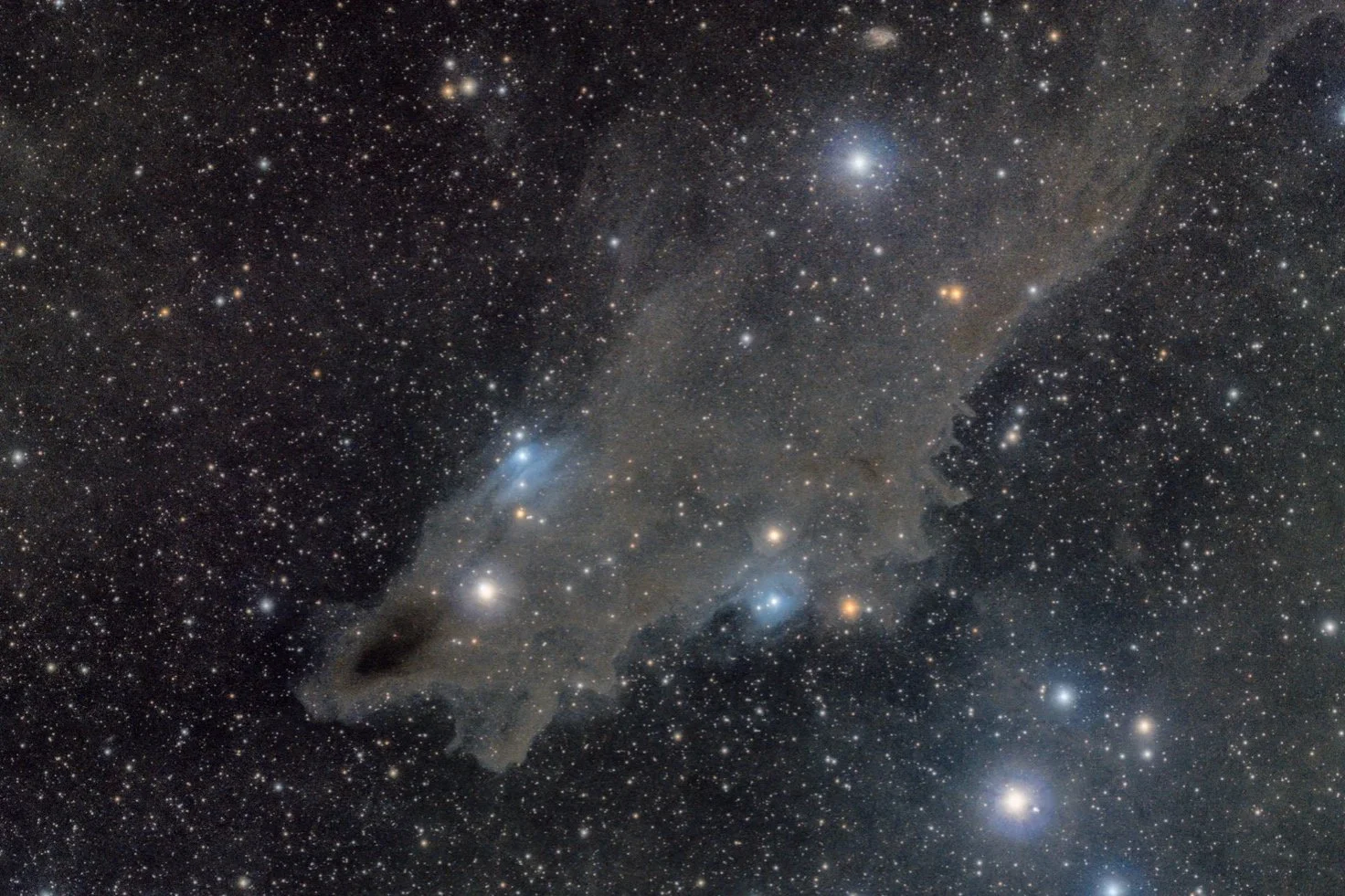 A nebula on the shape of a killer shark 