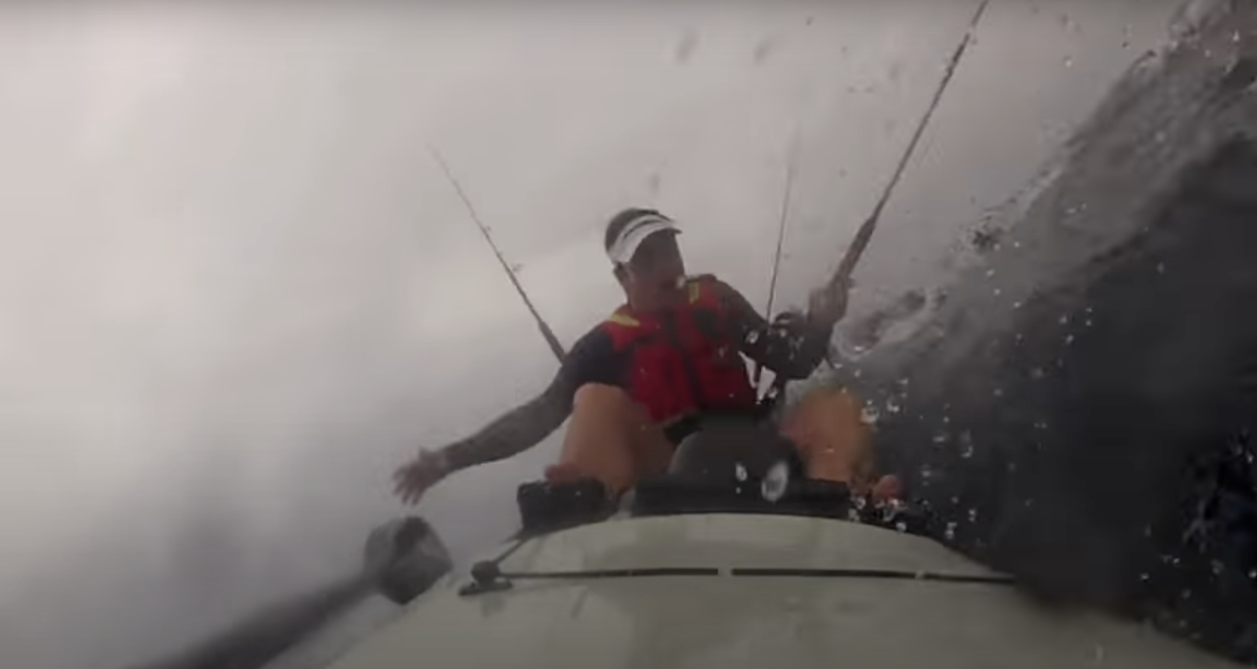 Does footage of Great White shark knocking kayaker into the ocean show they are NOT mindless man-eaters?