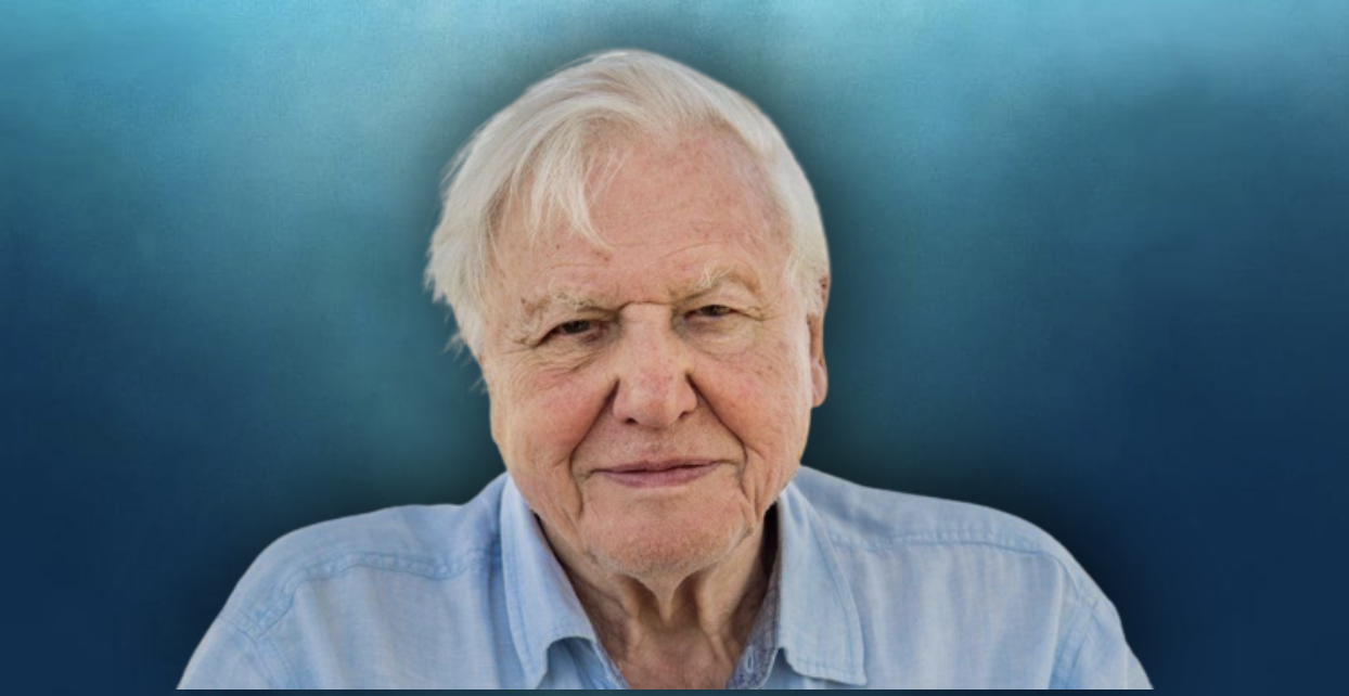 Sir David Attenborough named Champion of the Earth