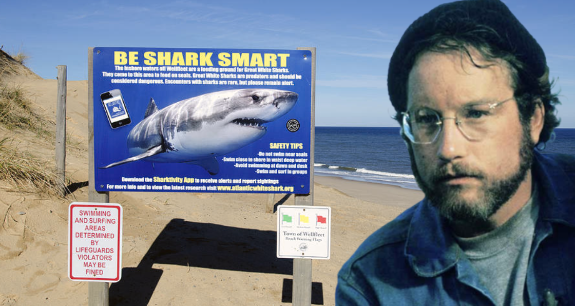 How a real-life Amity Island is learning that living with Great White sharks is not a death sentence