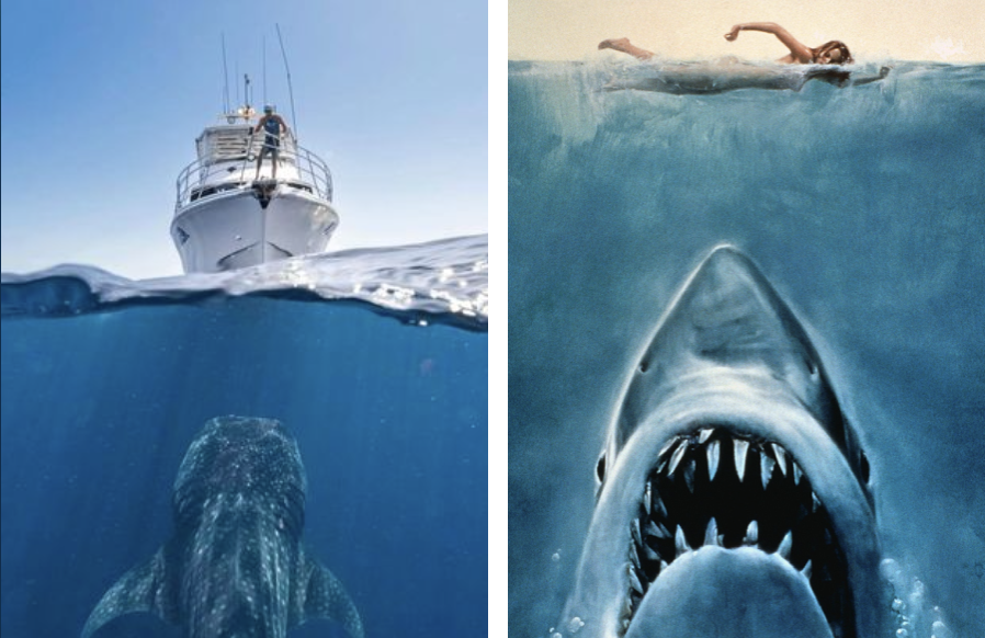 Whale shark photo recreates classic Jaws poster pose 