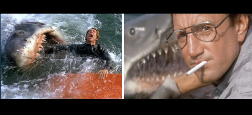 When do we first see the shark in Jaws?