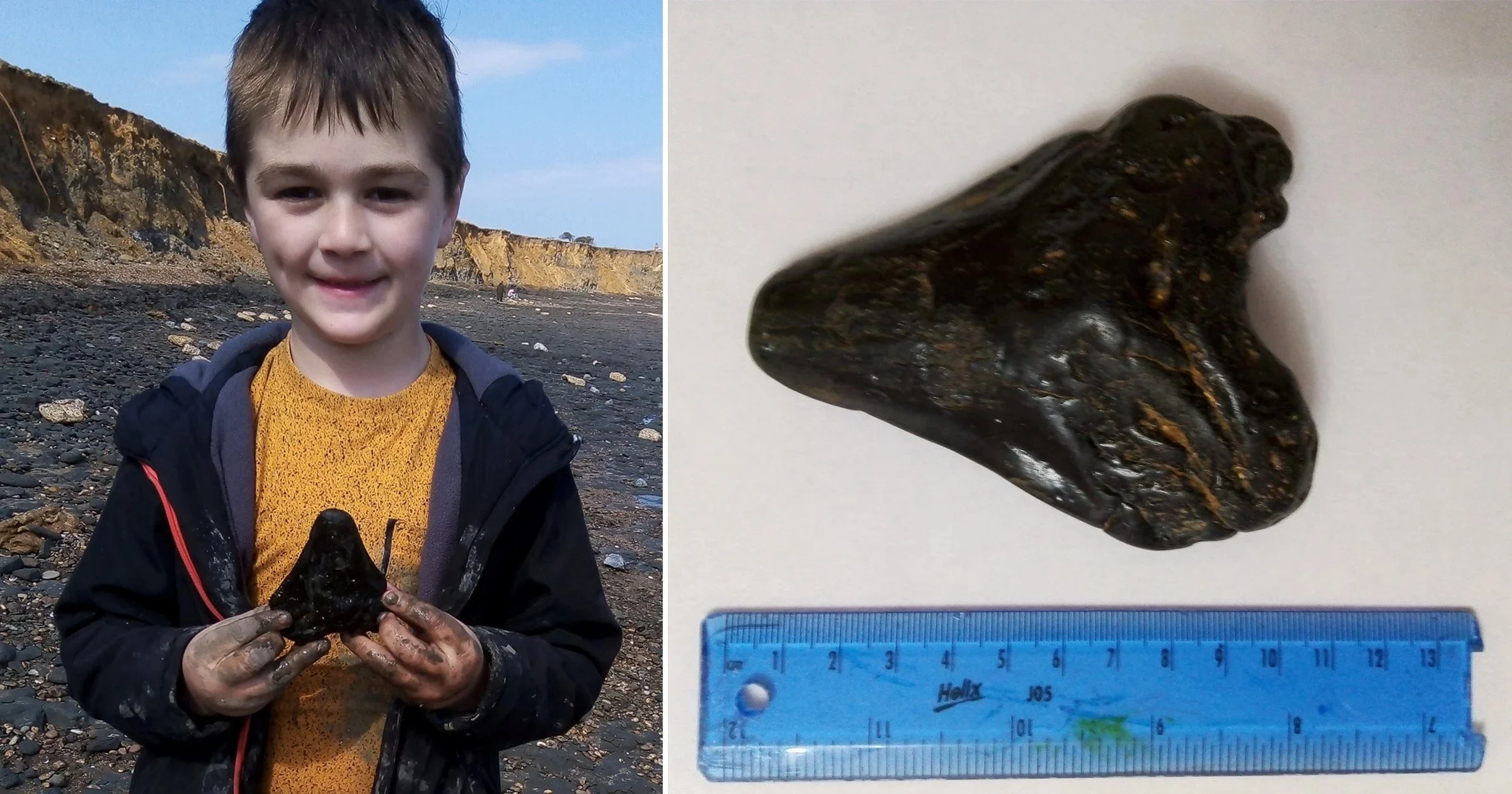 Boy finds Megalodon shark tooth on UK beach