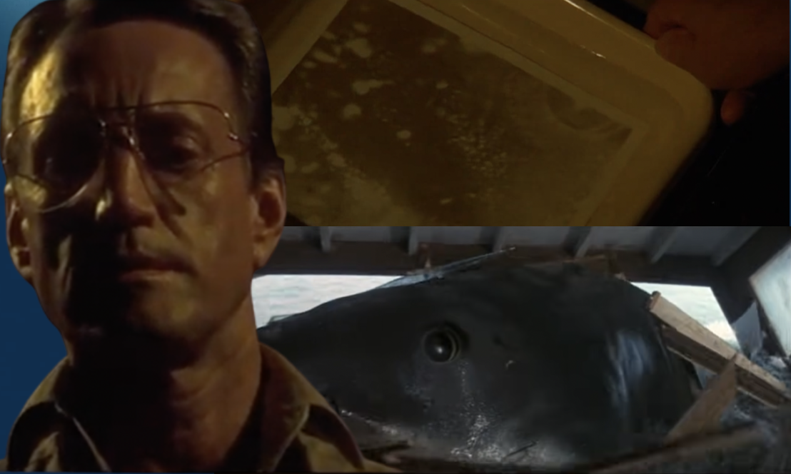 Is Jaws 2 'shark photo' actually a freeze-frame from original Jaws?  