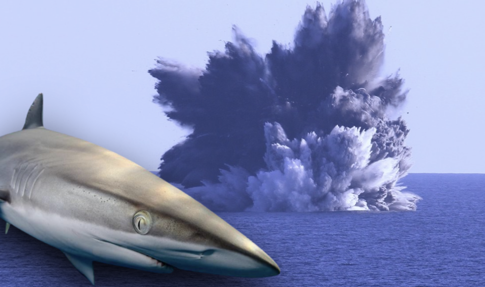 'Sharkano' home of mutant sharks erupts 