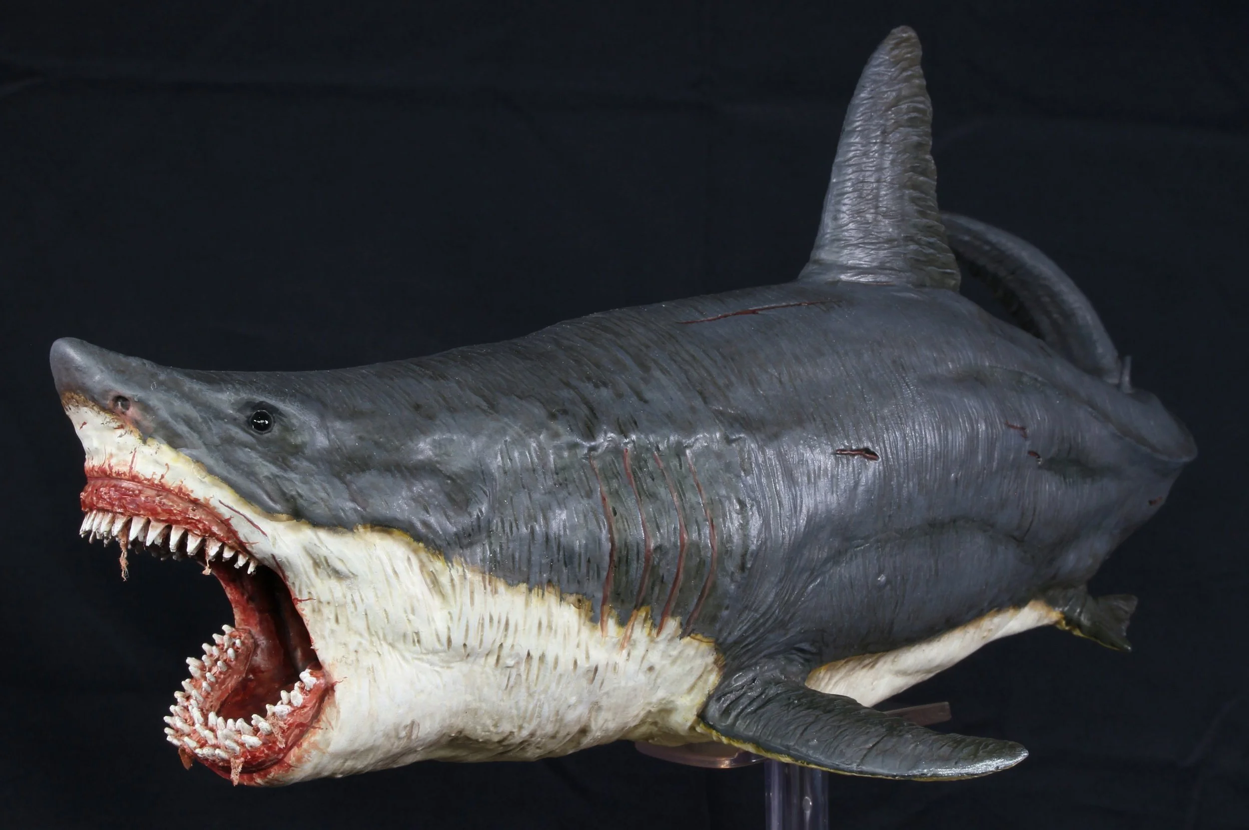 Why one determined Jaws fan waited 20 years to create amazing shark diorama