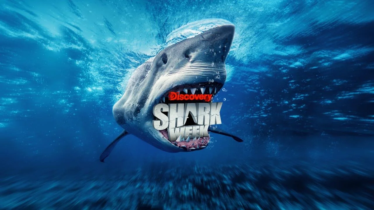 Shark Week 2022 schedule: Your guide to all 23 specials