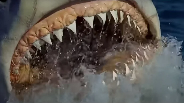 JAW5: One Tweet pitches for a new Jaws movie reveal thoughts of fanbase