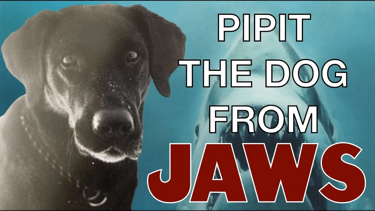 Pipit, the dog from Jaws