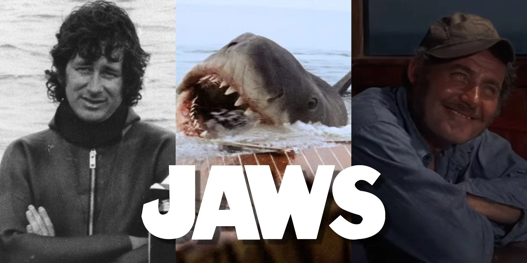 10 Reasons Why Jaws Is The Most Rewatchable Movie Ever Made