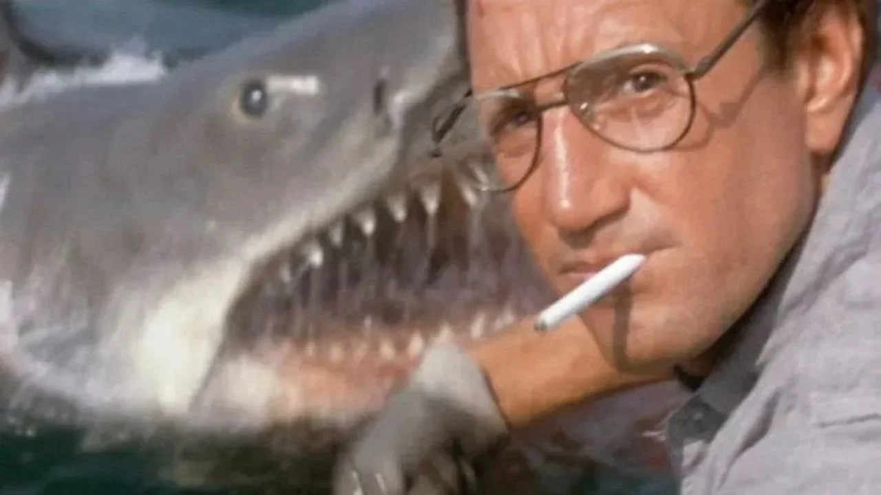 Christmas advert pays homage to Jaws