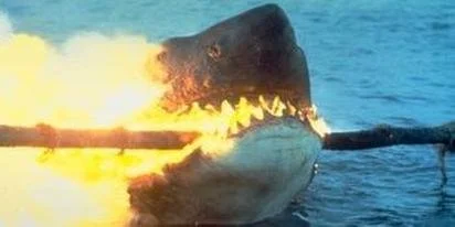 Electric pulse device 'SharkGuard' helps stop sharks becoming bycatch