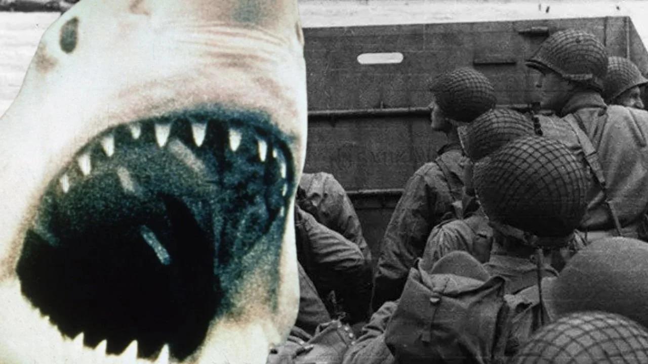 How World War II spawned our shark obsession - long before 'Shark Week' and ‘Jaws’ 
