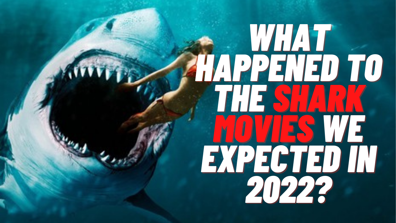 What happened to the shark movies we were expecting in 2022?