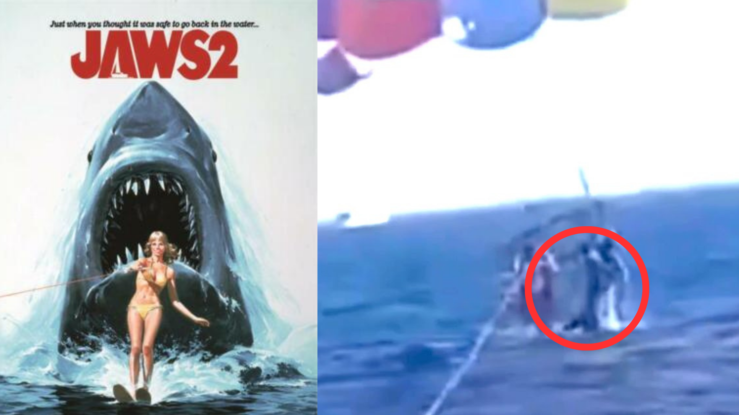 Parasailing shark encounter echoes scene from JAWS movie
