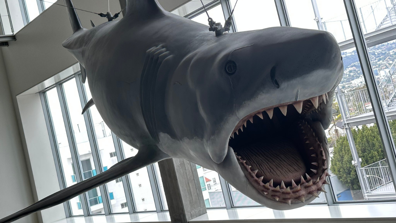Bruce the shark drops jaws at the Academy Museum