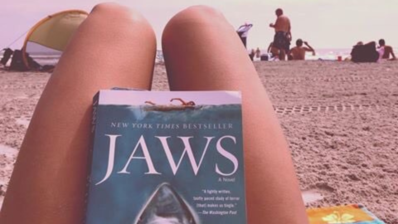 Beach Prep: What to pack to stay safe in the shark zone