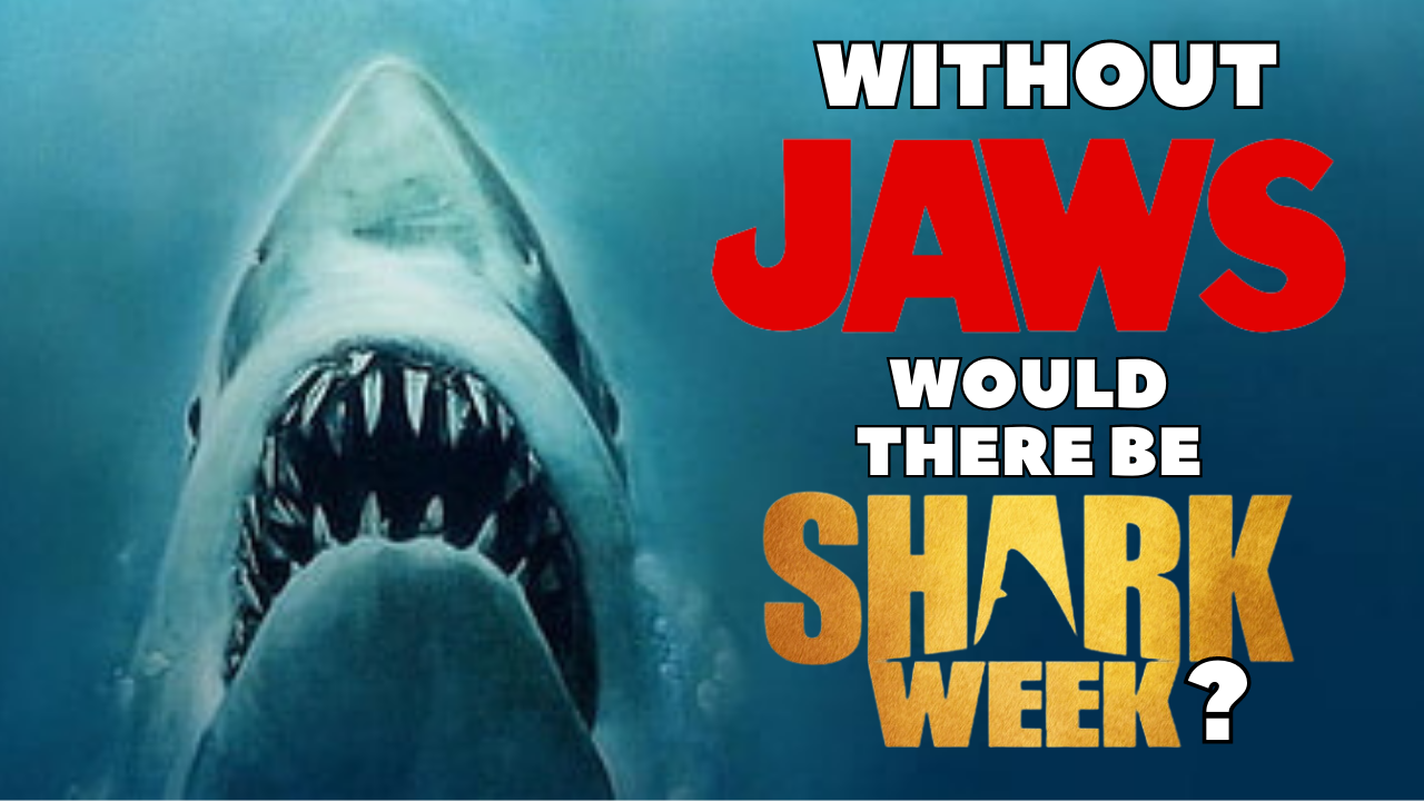 Without JAWS, would there be Shark Week?