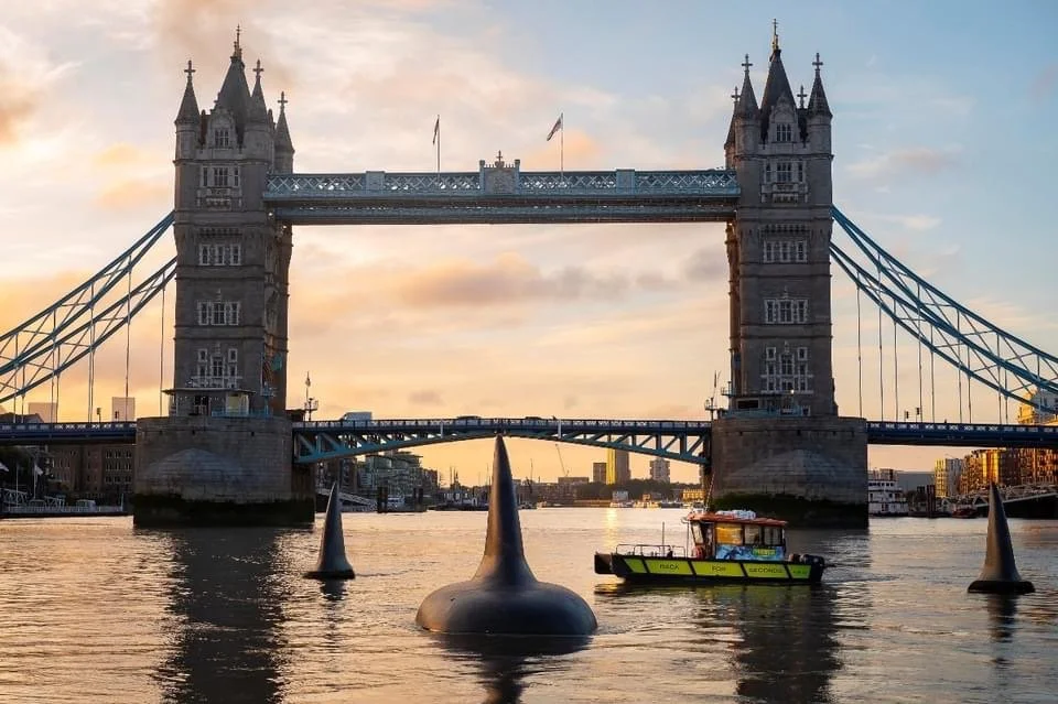 Giant shark fins glide up London’s River Thames in The Meg 2 publicity stunt