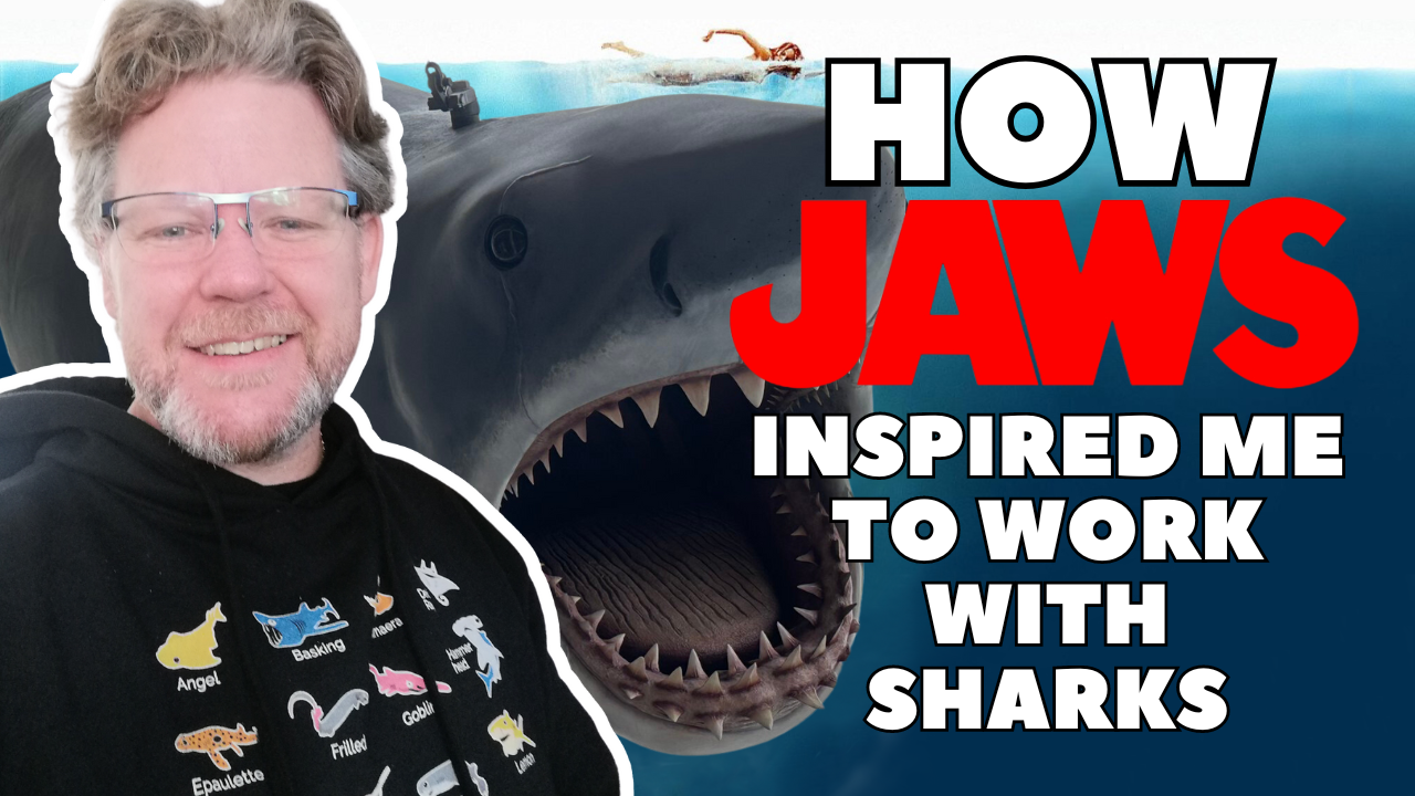 JAWS inspired marine biologist says shark classic should be "celebrated, not apologised for.”