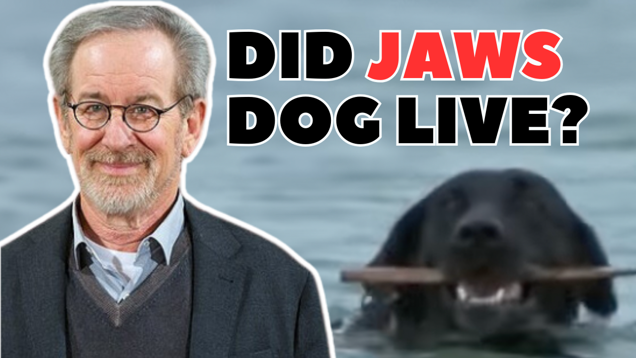 Steven Spielberg offers new theory on fate of JAWS dog