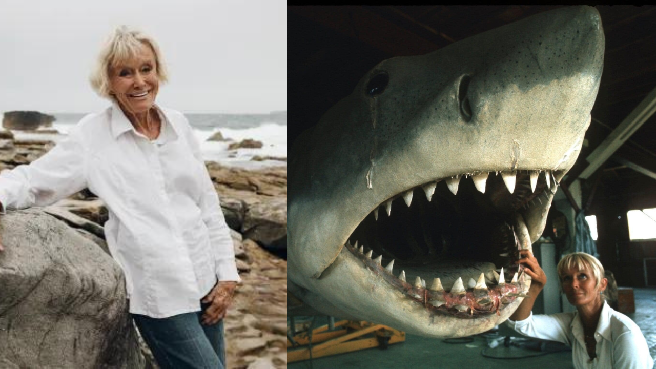 Valerie Taylor: A pioneering Australian conservationist