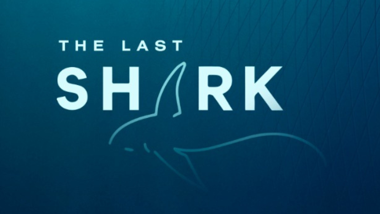 New documentary 'The Last Shark' aims to rid oceans of shark culling nets