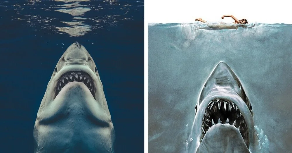  The Ripple Effect: How "JAWS" altered the ocean's apex predator narrative