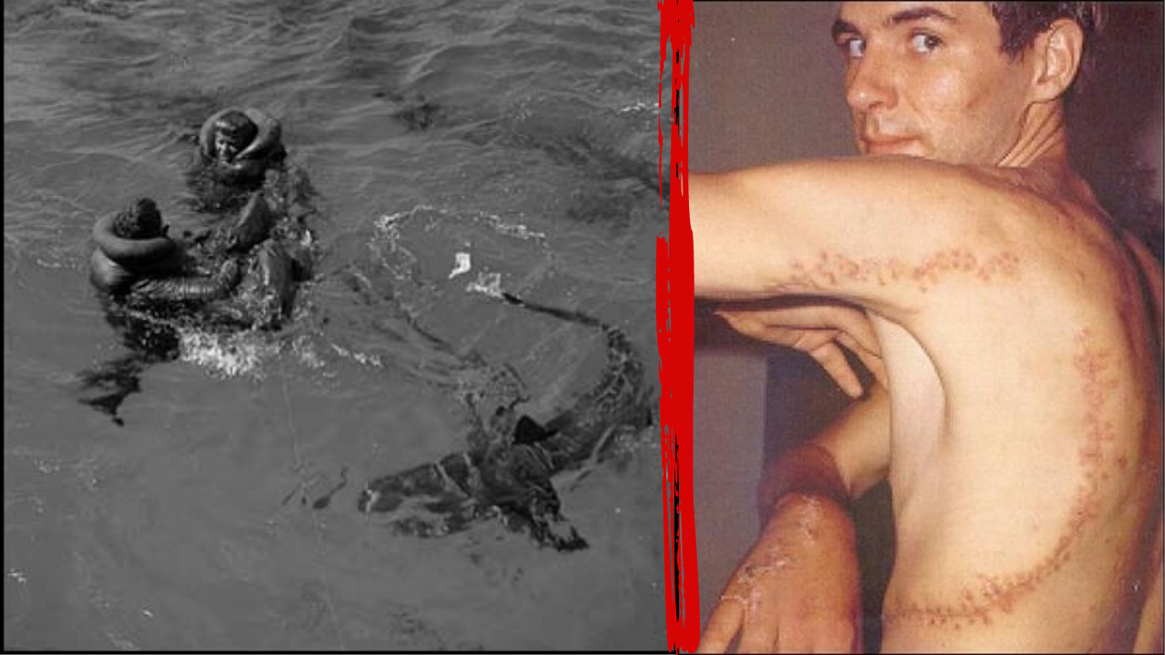 The ten scariest shark encounters in history