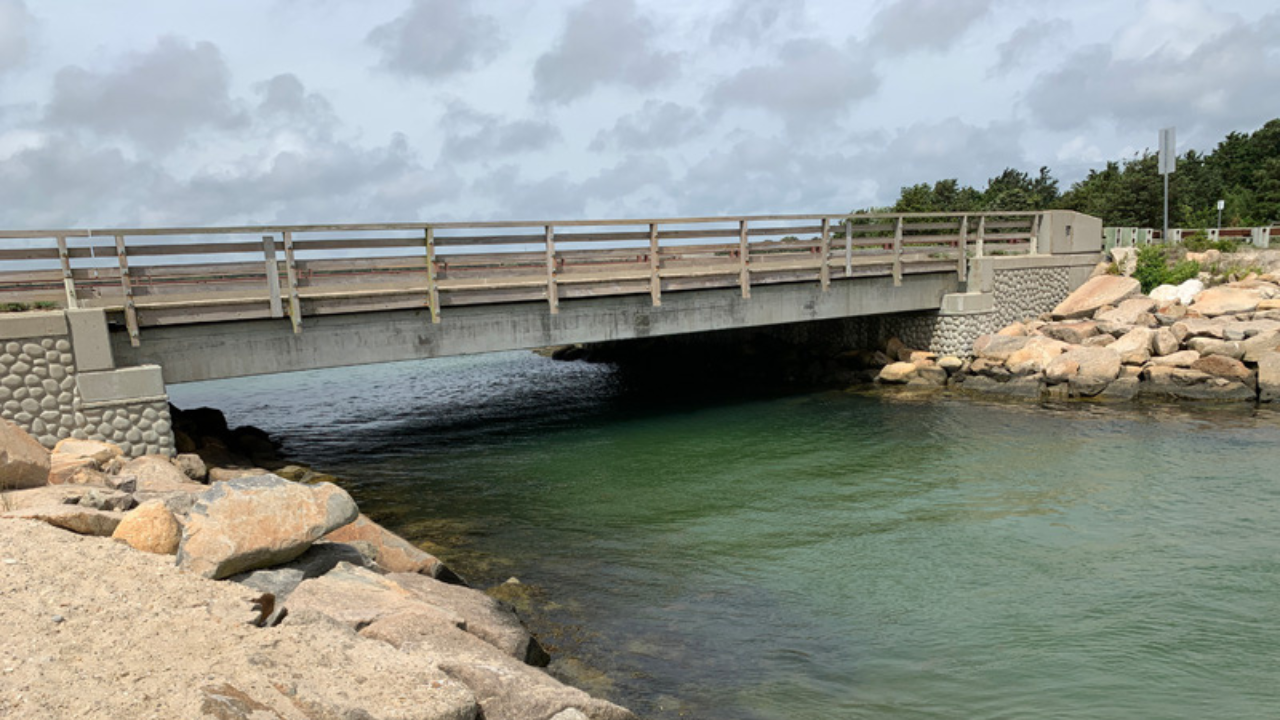 'JAWS Bridge' to host fourth annual Amity Shark Race