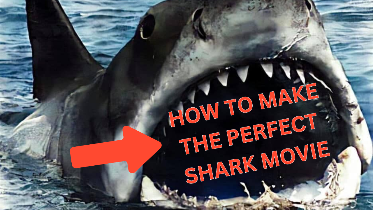 How to make the perfect shark movie