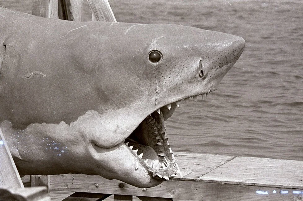 Comparing the fake shark in JAWS to a real Great White