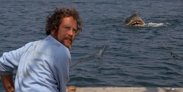 JAWS star sets up fund to help Hurricane Helene survivors