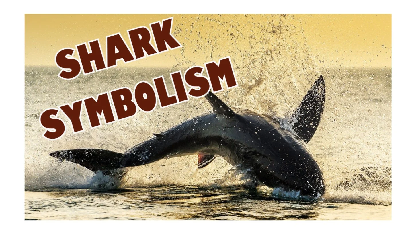 Decoding Shark Symbolism: Key Spiritual Lessons and Cultural Perspectives