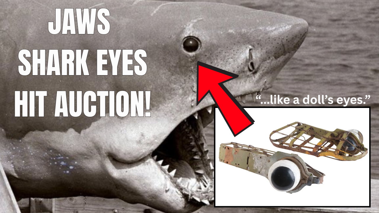 JAWS shark eyes expected to sell for HUGE amount at auction