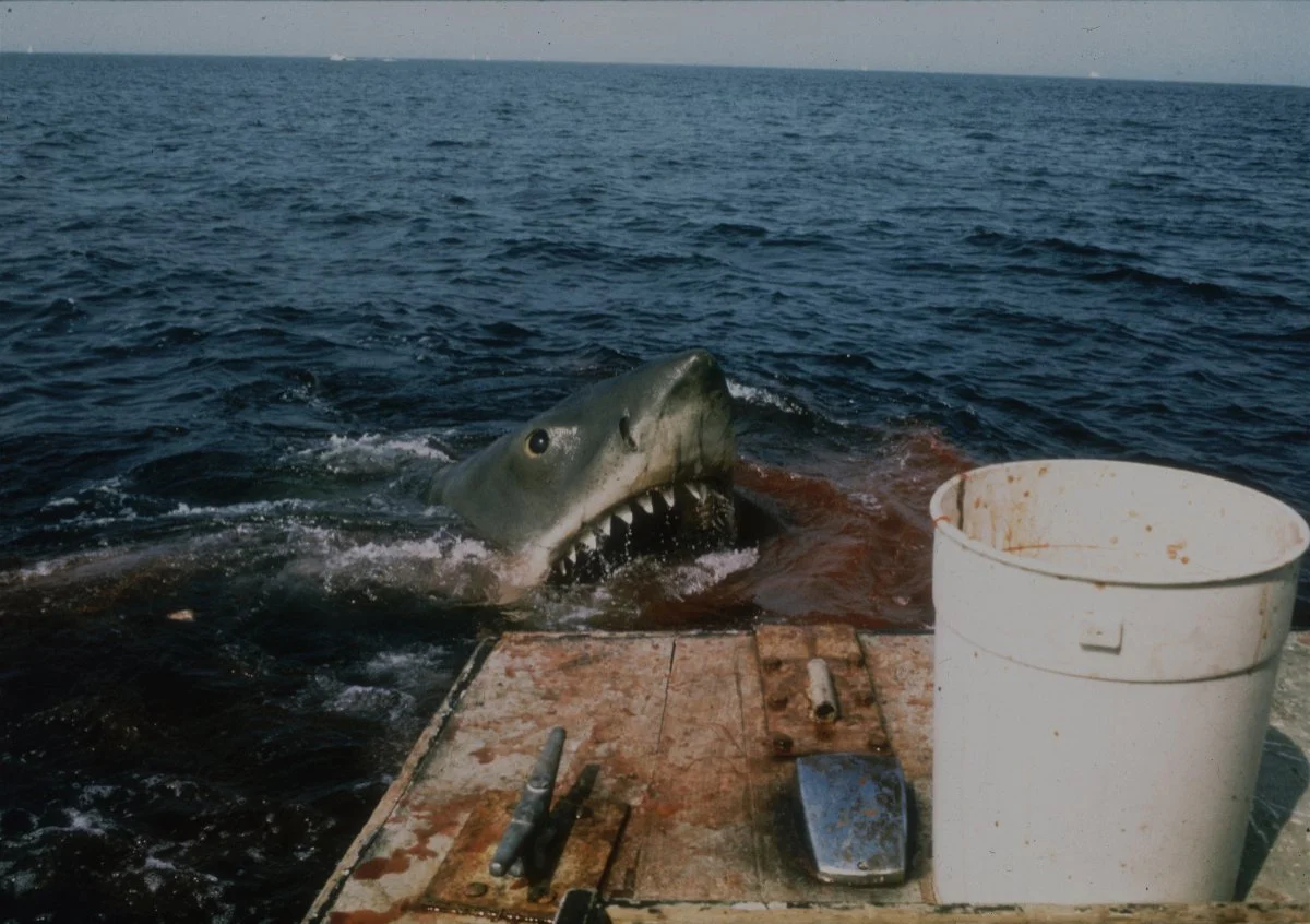 The Cultural Phenomenon of Jaws and Its Lasting Influence